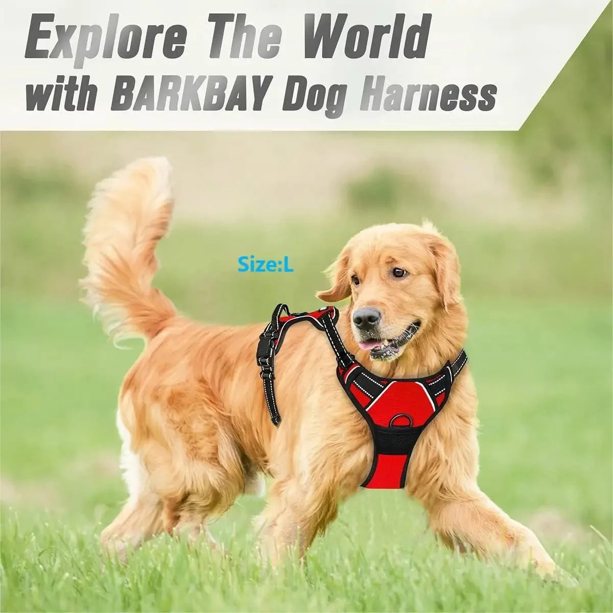 Leather Dog Collar & Harness Set with Leash – Adjustable Vest for Small & Medium Dogs